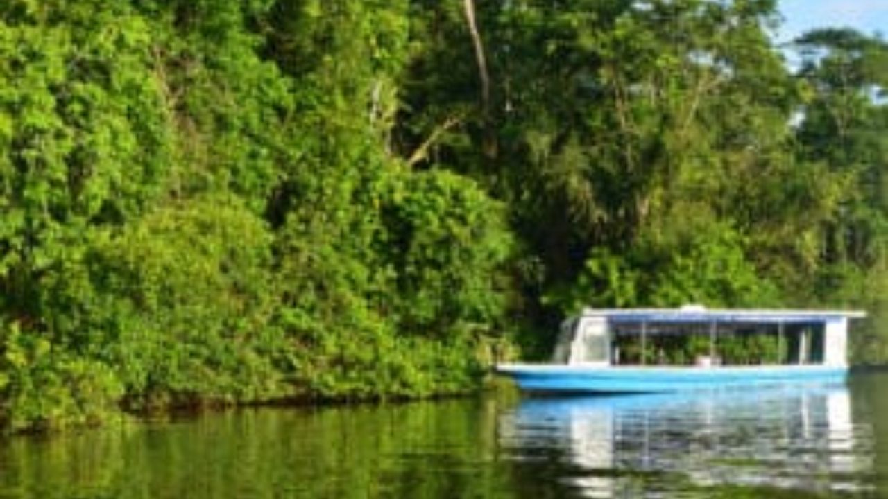 Tour boat on calm river in Tortuguero National Park.