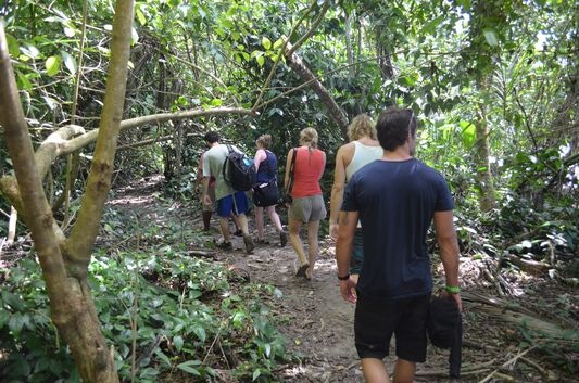 Hiking Cahuita National Park