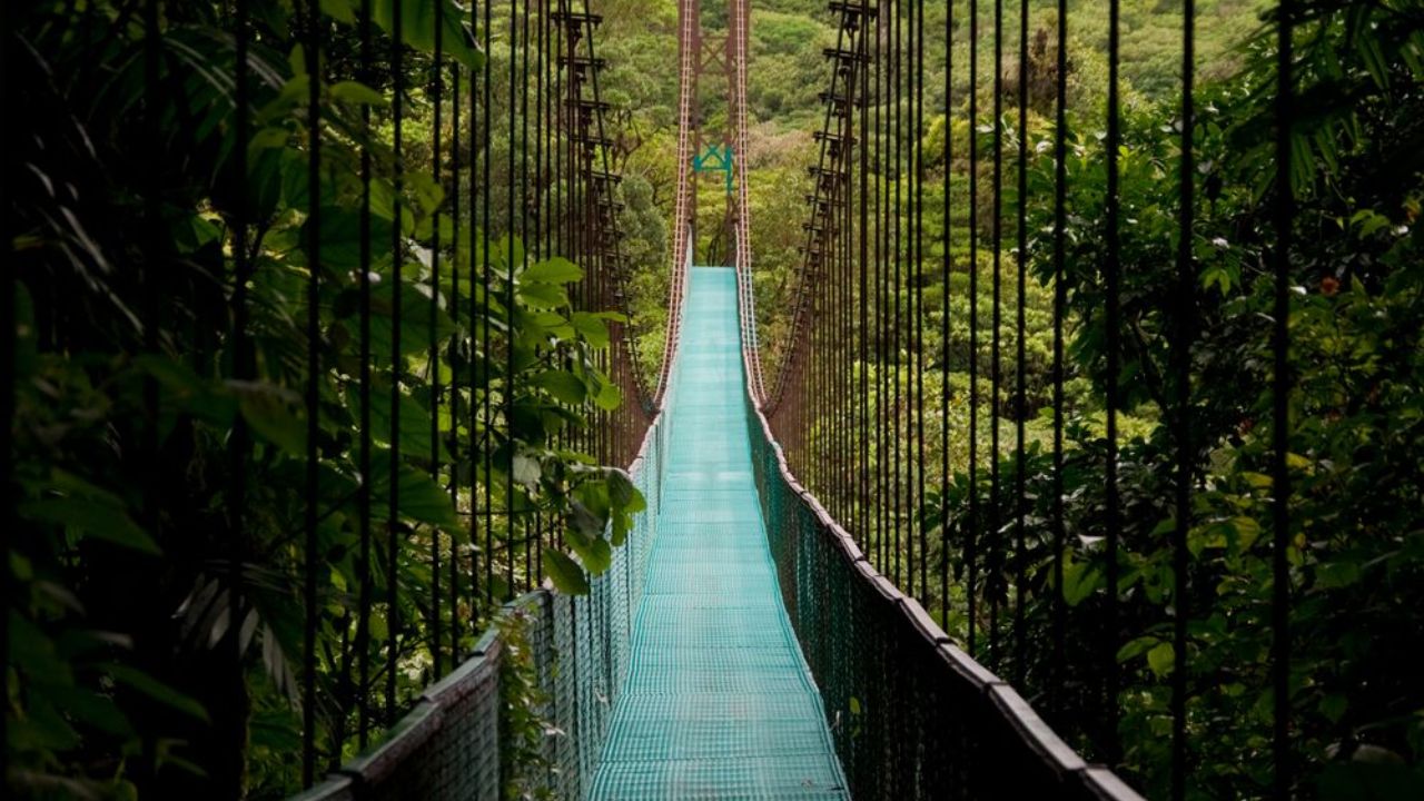 The Hanging Bridges of Arenal