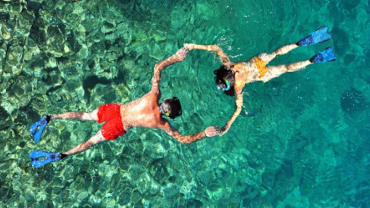 Aerial view of two people snorkeling hand in hand.